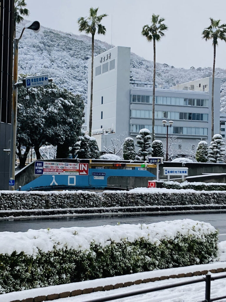 2022年末の大雪で真っ白になった徳島市